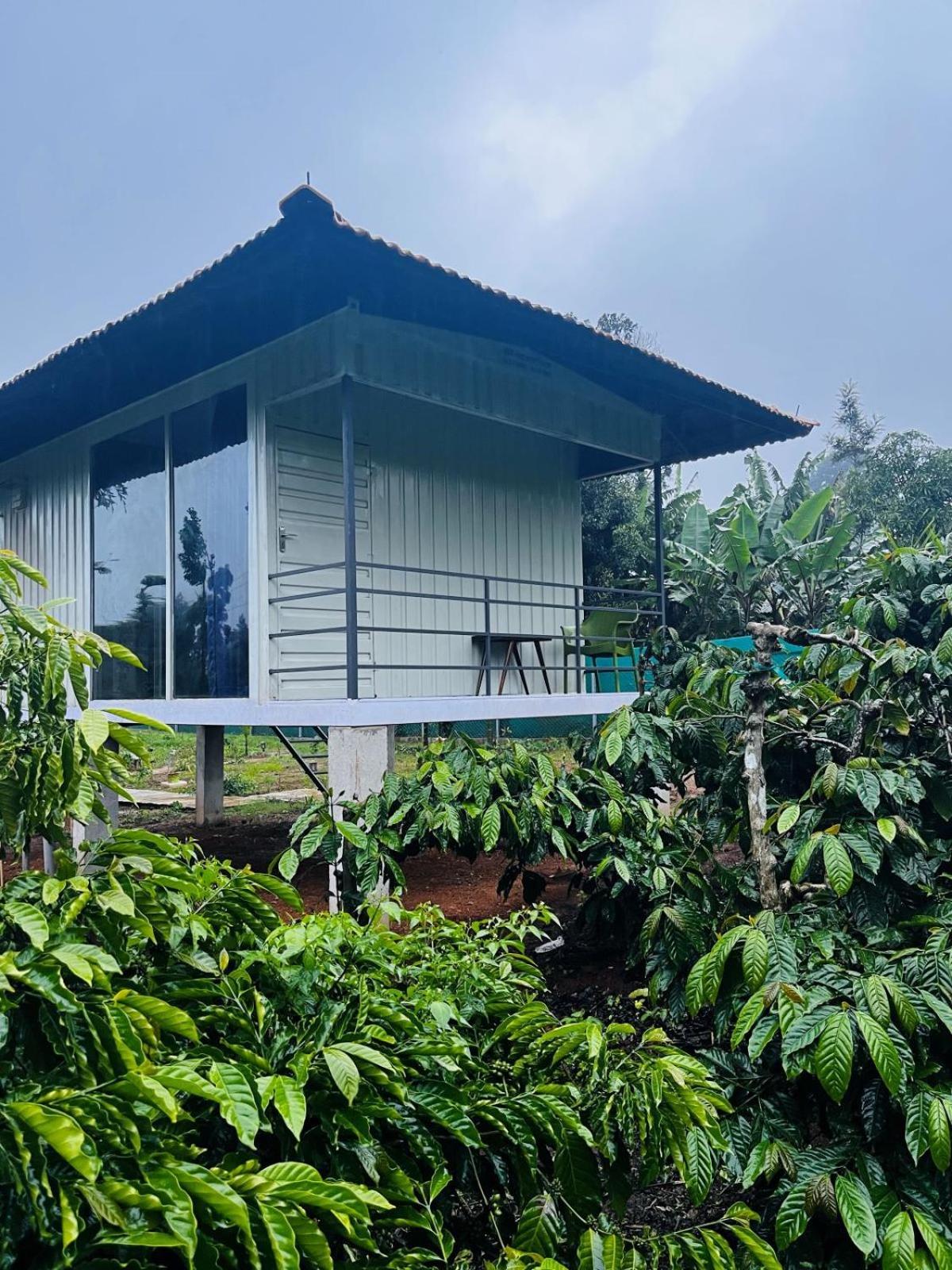 Vigo Homes Sakleshpur Exteriör bild